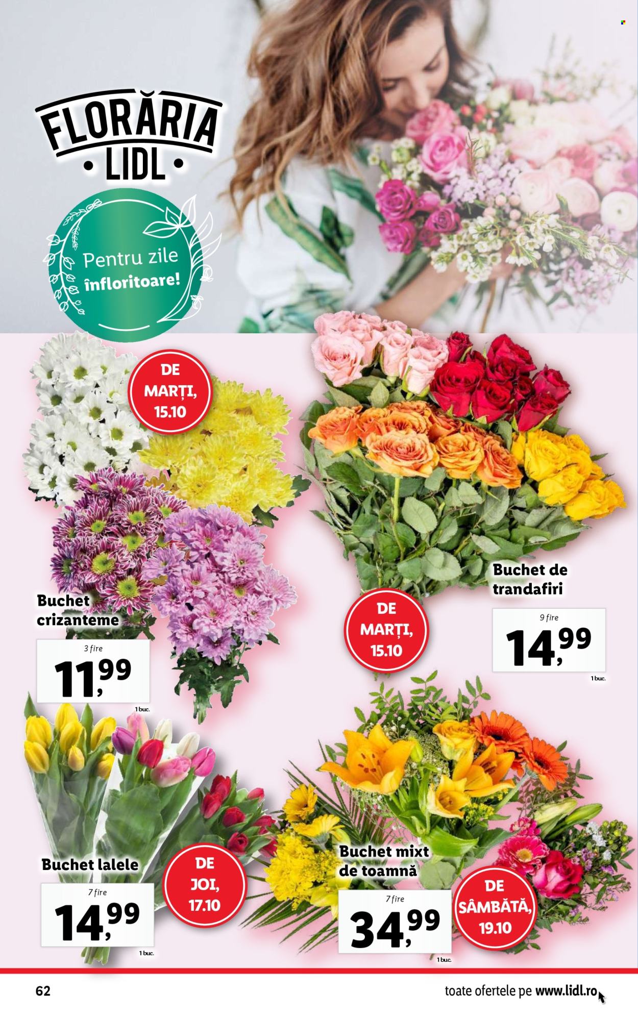Catalog Lidl - 14.10.2024 - 20.10.2024. Pagina 62