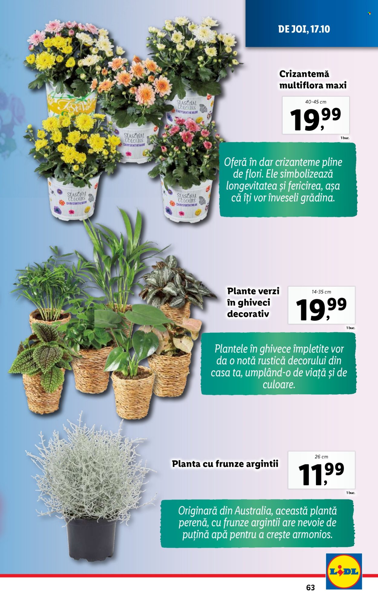 Catalog Lidl - 14.10.2024 - 20.10.2024. Pagina 63