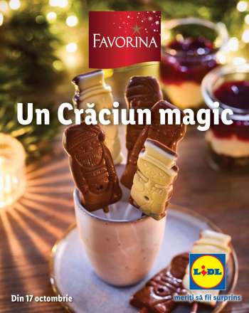 Cataloage Lidl.