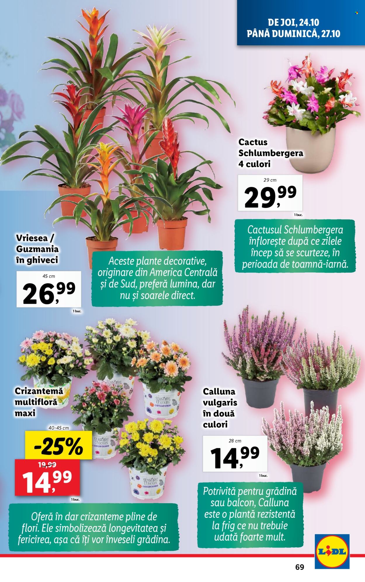 Catalog Lidl - 21.10.2024 - 27.10.2024. Pagina 69