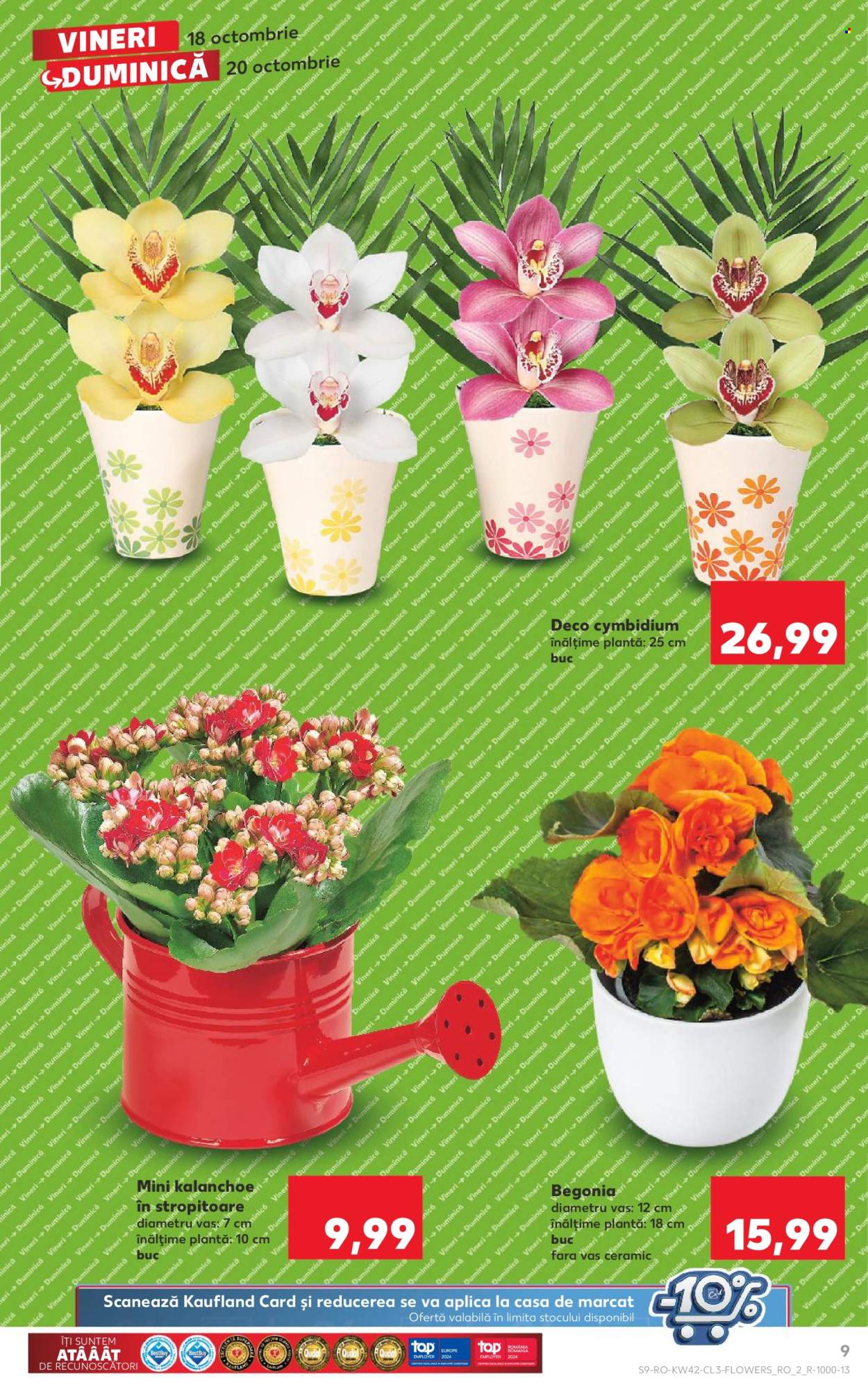 Catalog Kaufland - 18.10.2024 - 20.10.2024. Pagina 9
