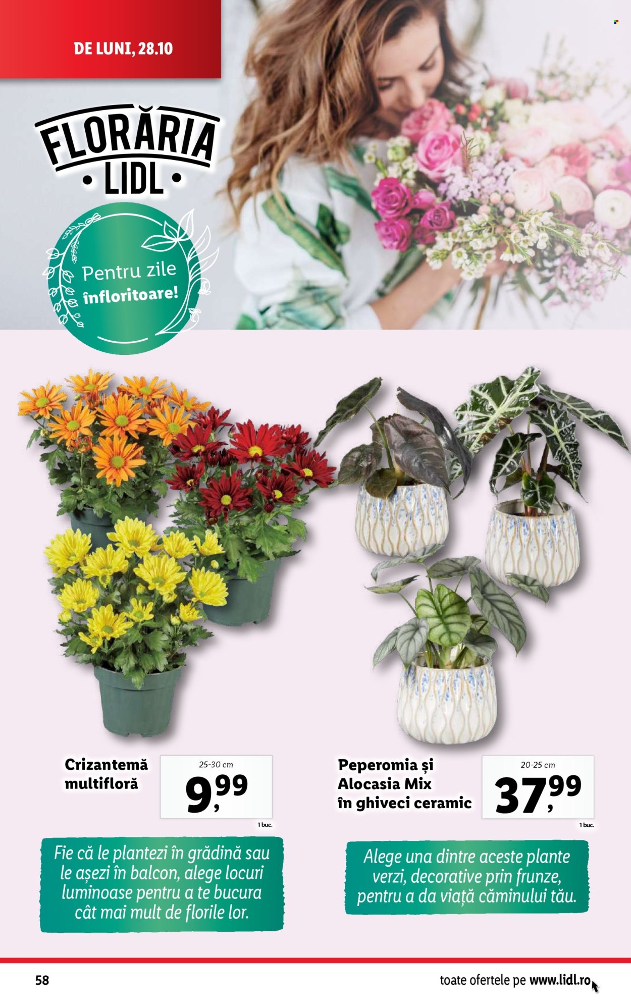 Catalog Lidl - 28.10.2024 - 03.11.2024. Pagina 58