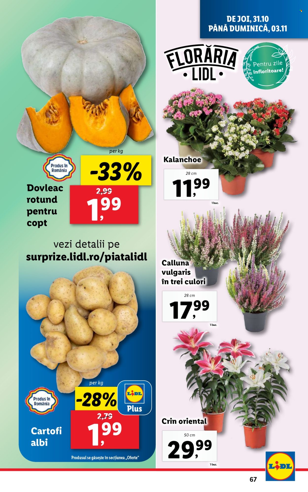 Catalog Lidl - 28.10.2024 - 03.11.2024. Pagina 67