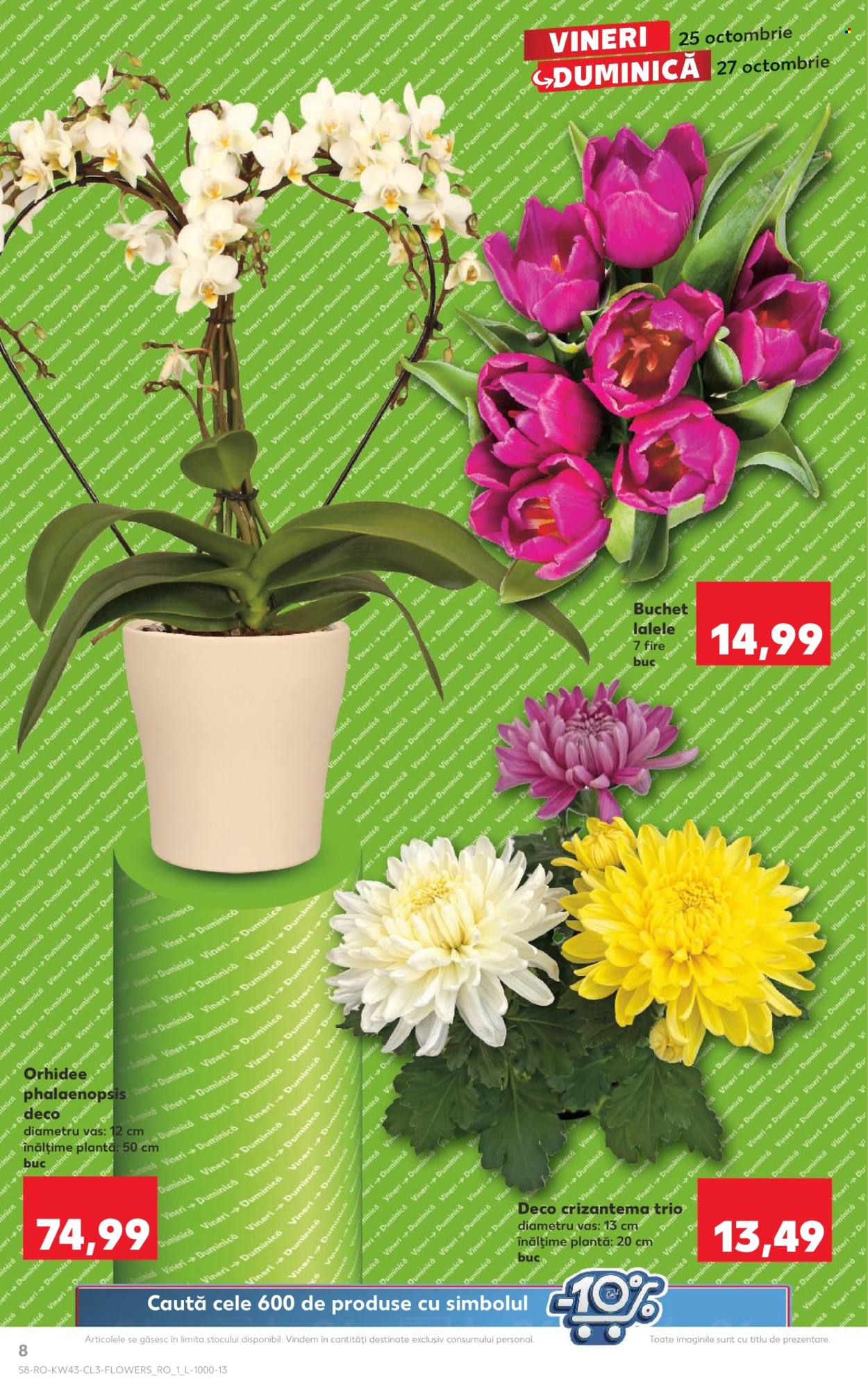 Catalog Kaufland - 25.10.2024 - 27.10.2024. Pagina 8
