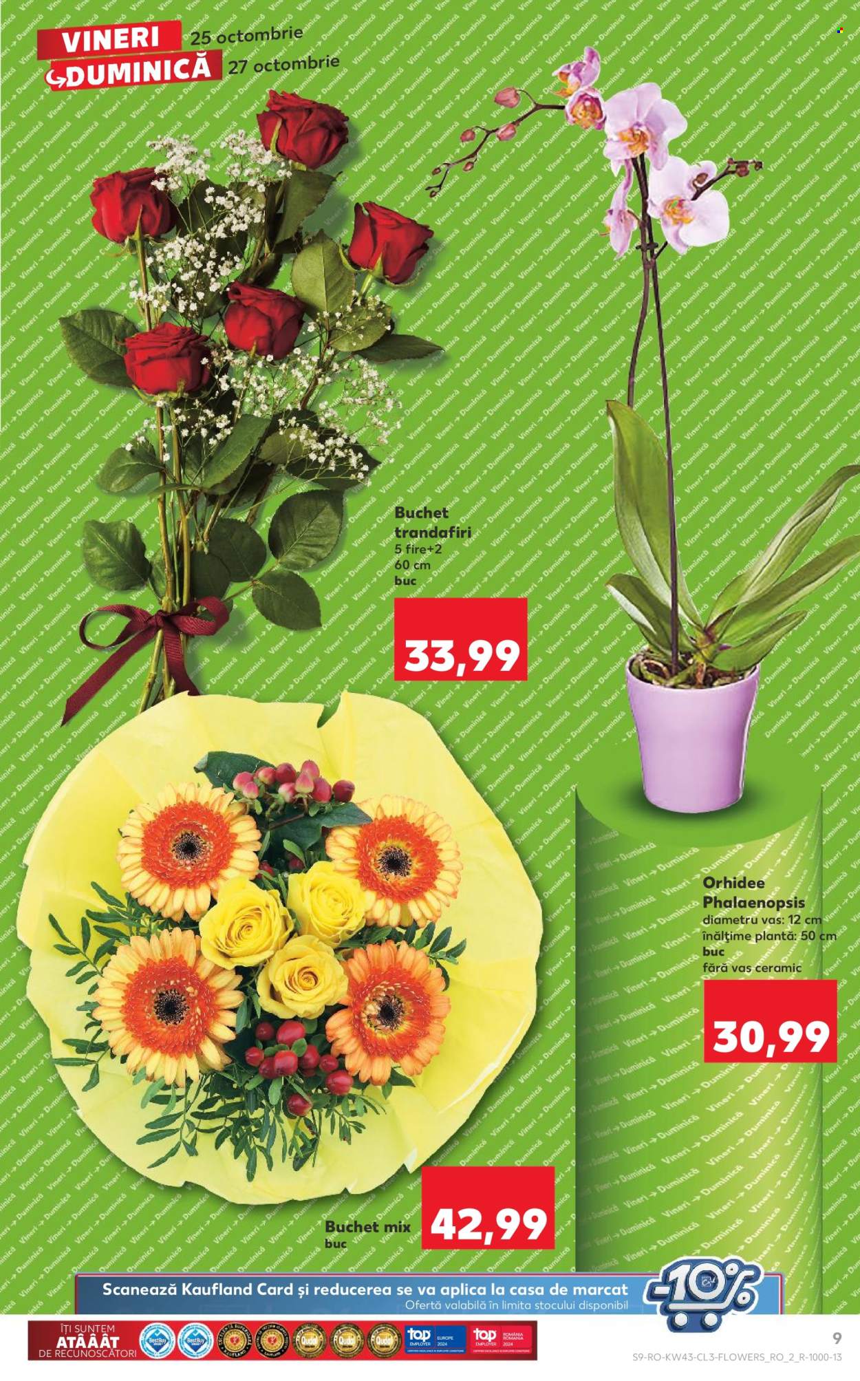 Catalog Kaufland - 25.10.2024 - 27.10.2024. Pagina 9
