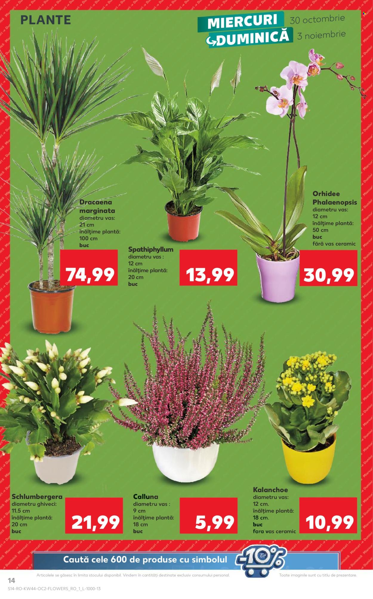Catalog Kaufland - 30.10.2024 - 05.11.2024. Pagina 14