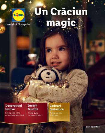 Cataloage Lidl.