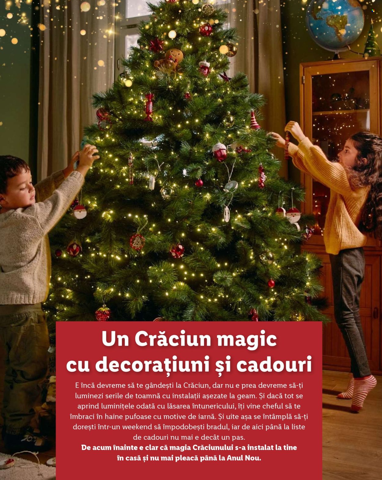 Catalog Lidl. Pagina 2