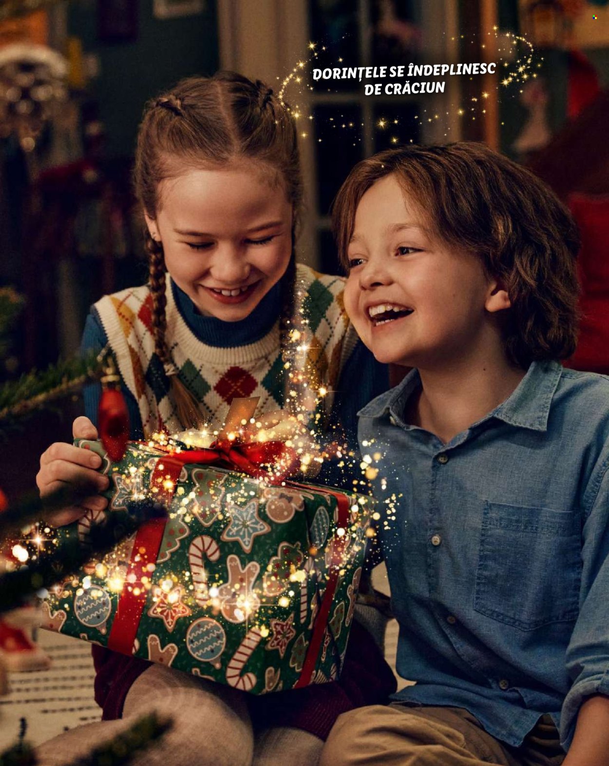 Catalog Lidl. Pagina 51