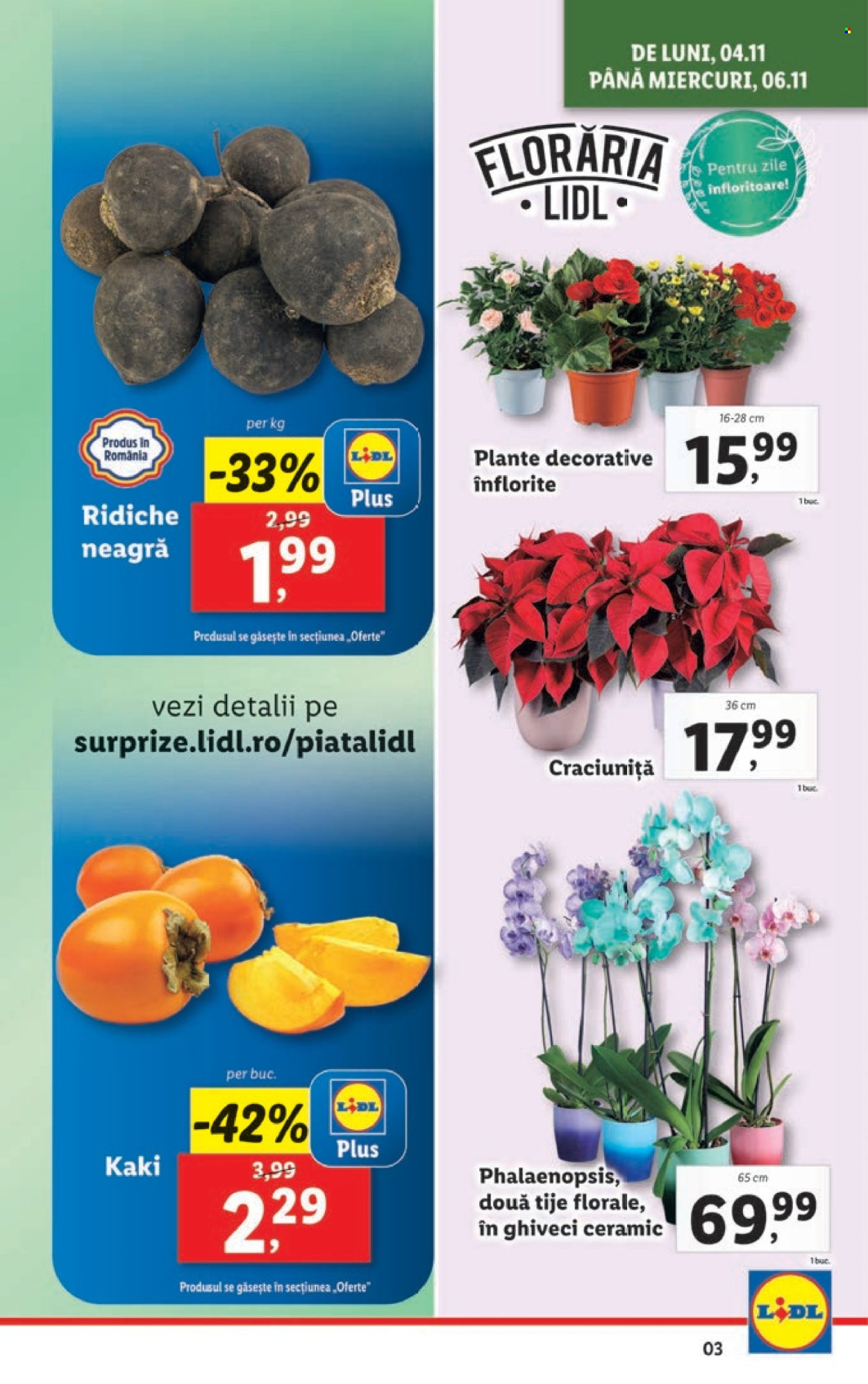 Catalog Lidl - 04.11.2024 - 10.11.2024. Pagina 3