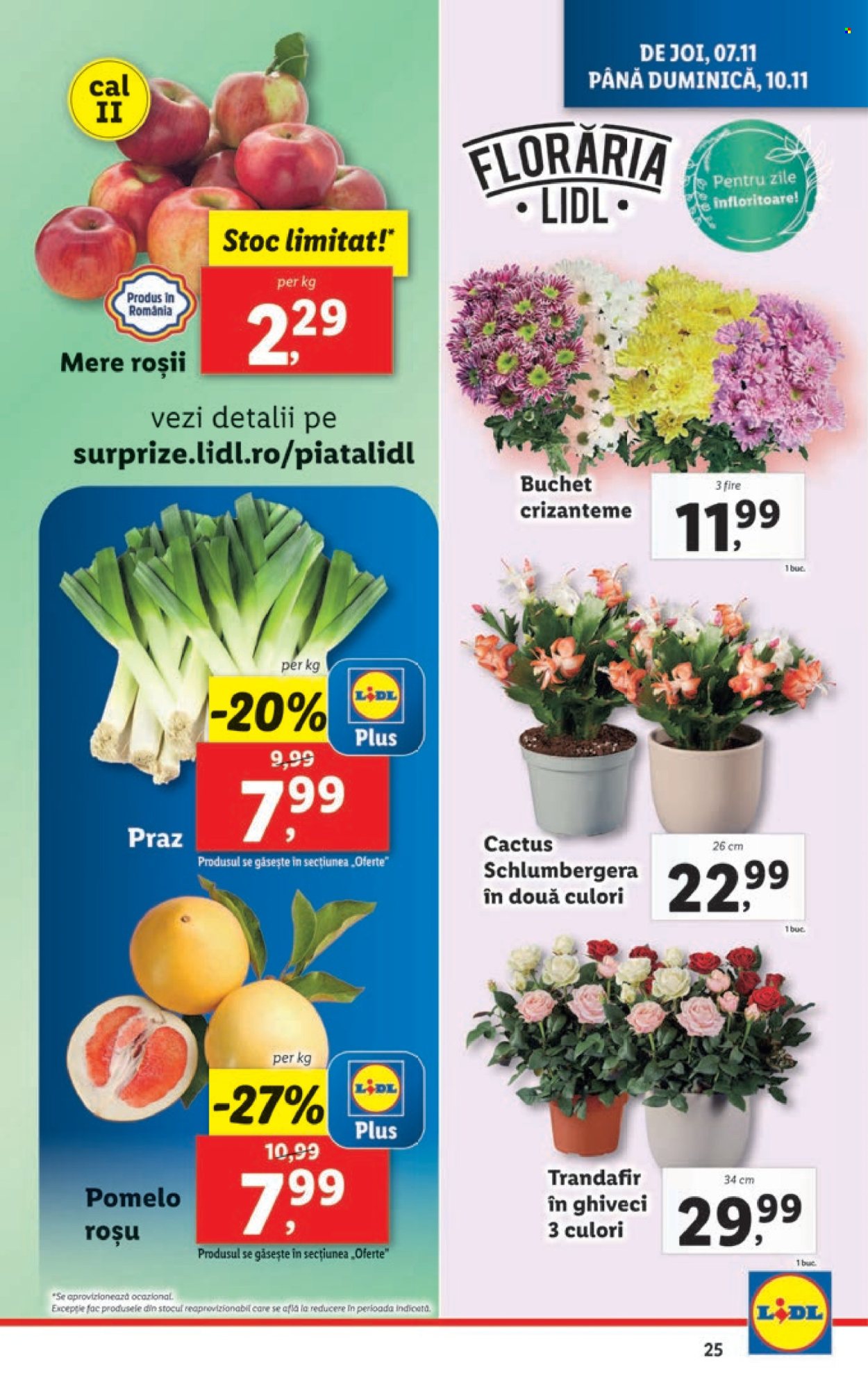 Catalog Lidl - 04.11.2024 - 10.11.2024. Pagina 25