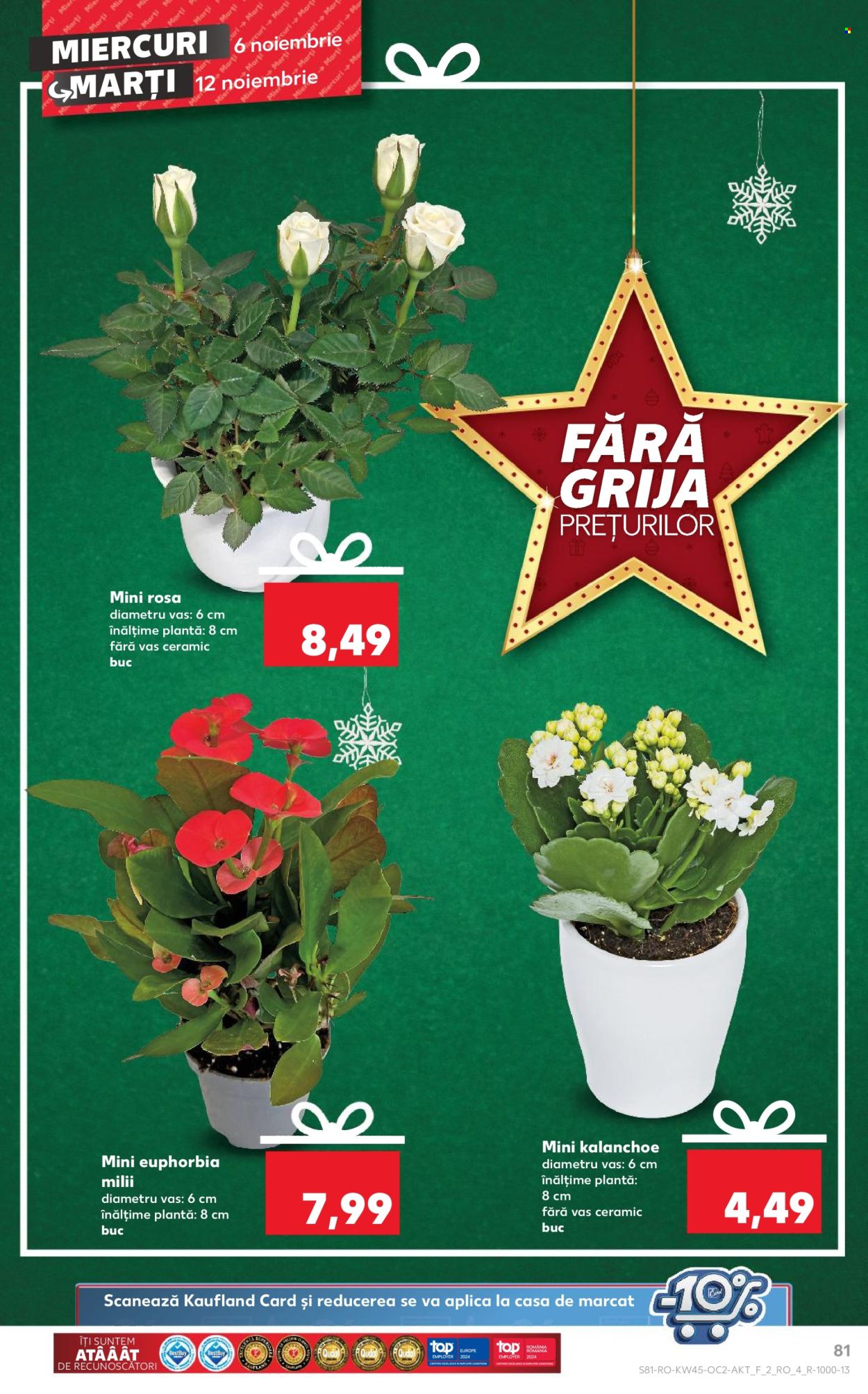Catalog Kaufland - 06.11.2024 - 12.11.2024. Pagina 81