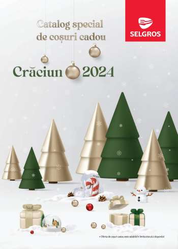 Cataloage Selgros - 04.11.2024 - 07.01.2025.