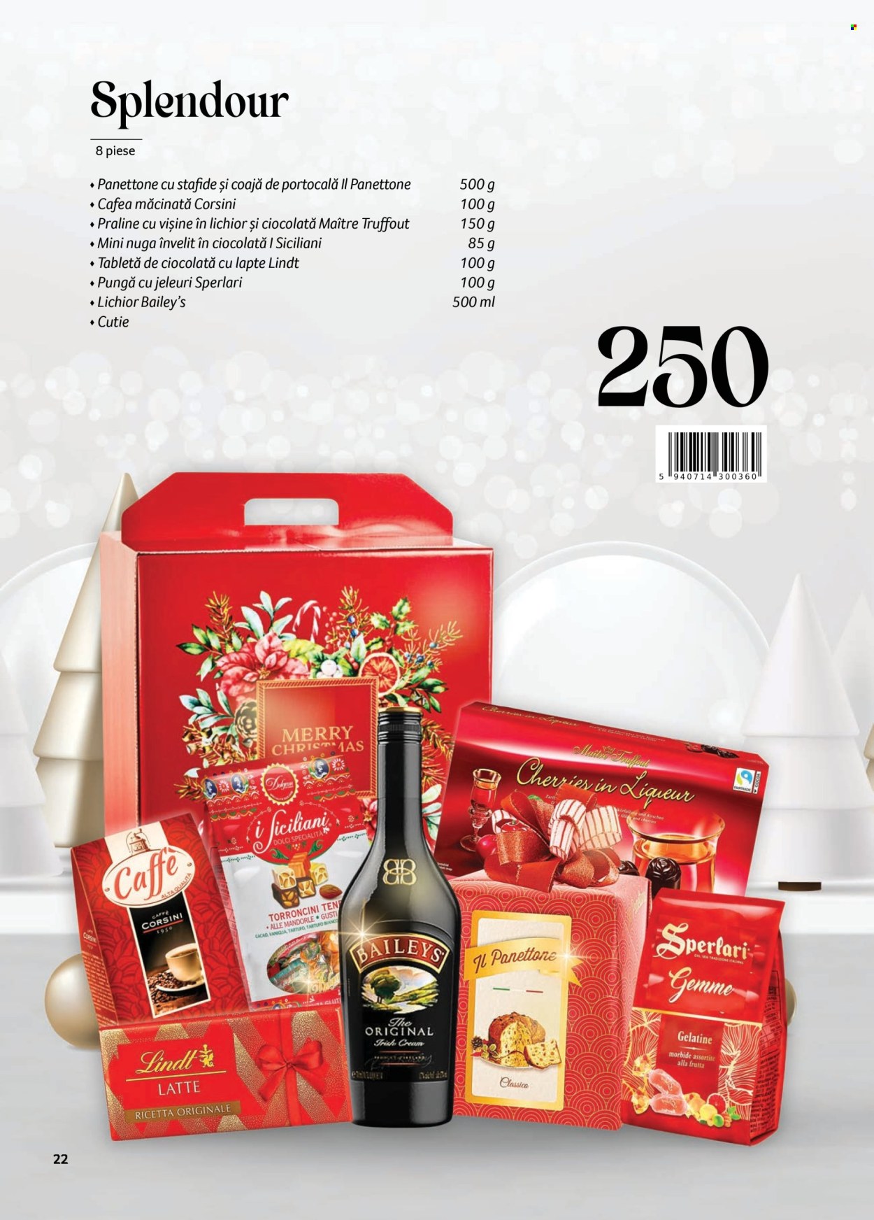 Catalog Selgros - 04.11.2024 - 07.01.2025. Pagina 22