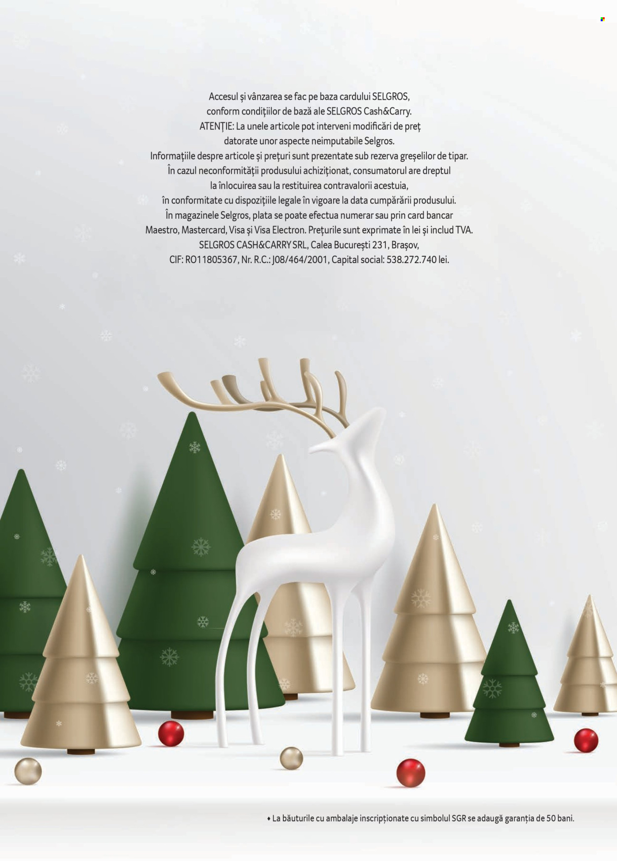 Catalog Selgros - 04.11.2024 - 07.01.2025. Pagina 100