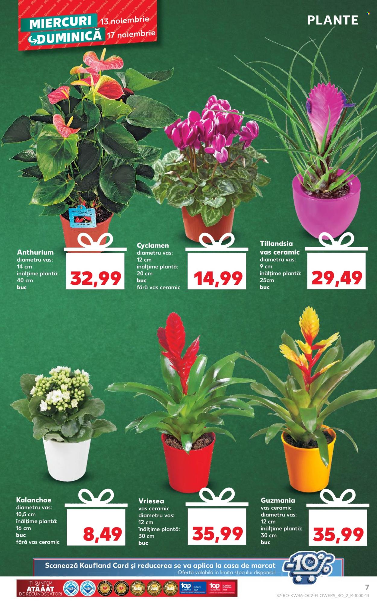 Catalog Kaufland - 13.11.2024 - 19.11.2024. Pagina 7