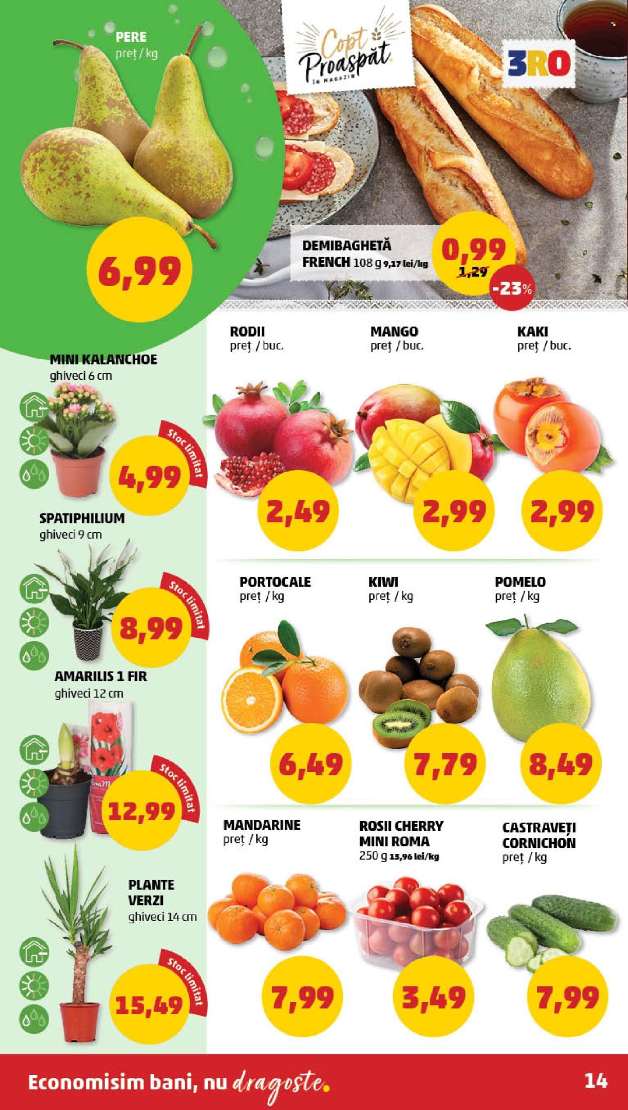 Catalog PENNY - 13.11.2024 - 19.11.2024. Pagina 14