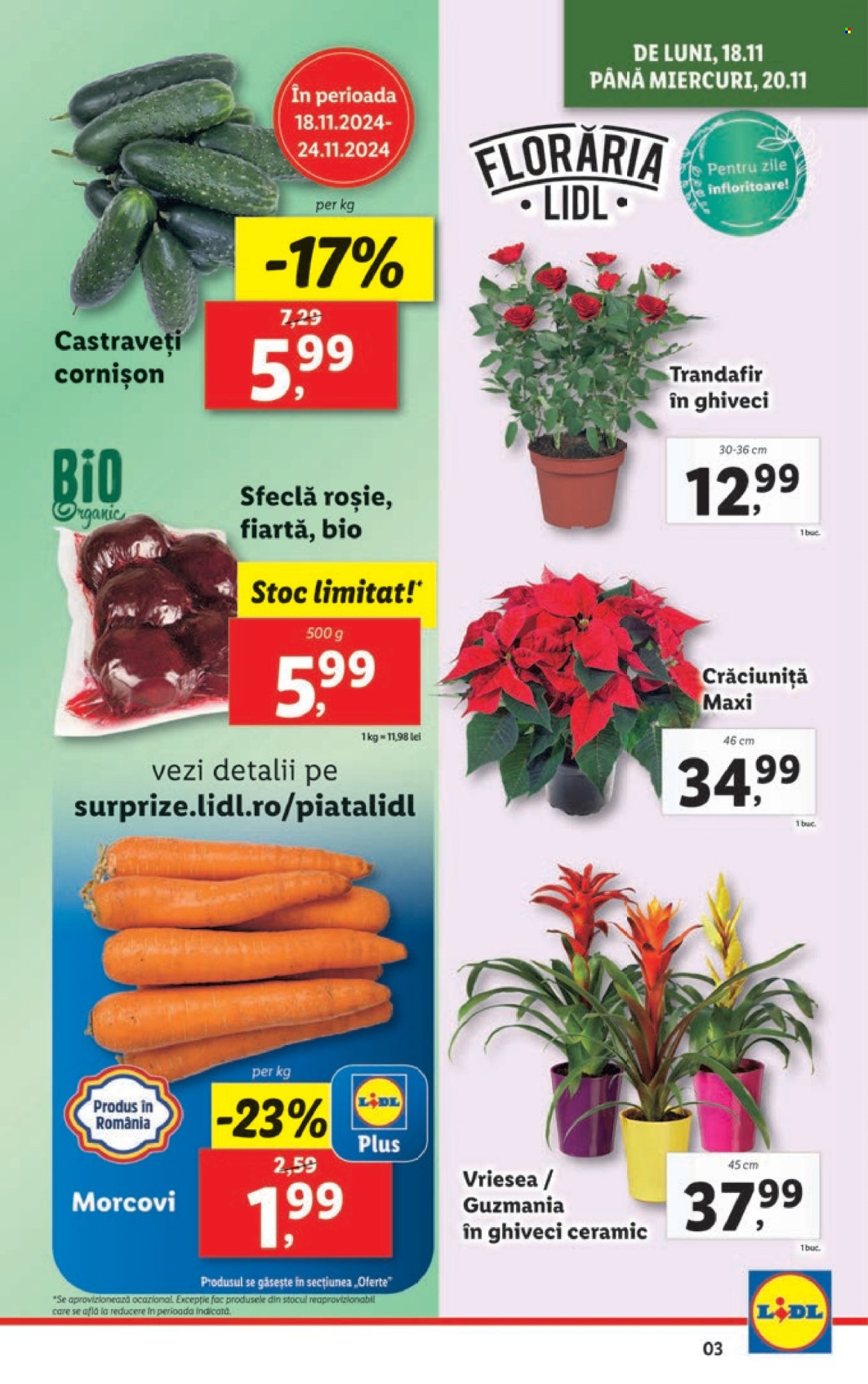 Catalog Lidl - 18.11.2024 - 24.11.2024. Pagina 3