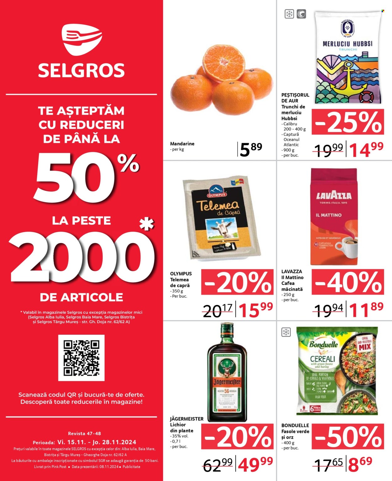 Catalog Selgros - 15.11.2024 - 28.11.2024. Pagina 1