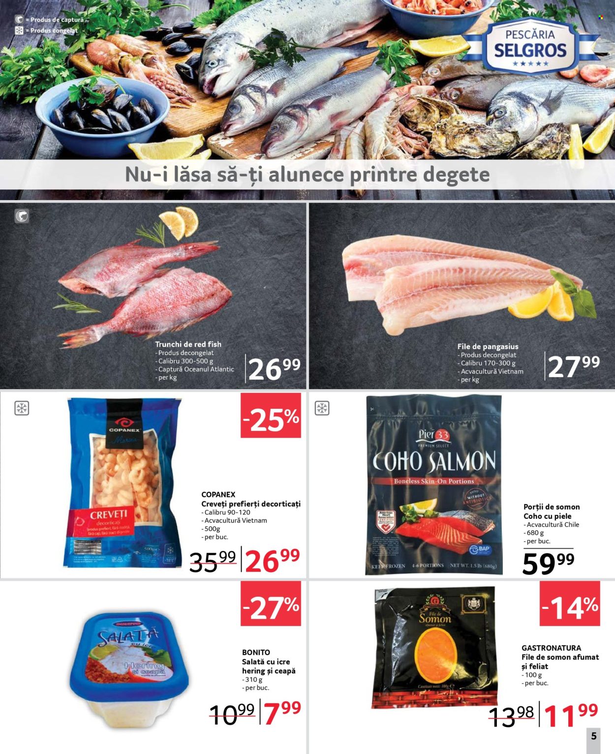 Catalog Selgros - 15.11.2024 - 28.11.2024. Pagina 5