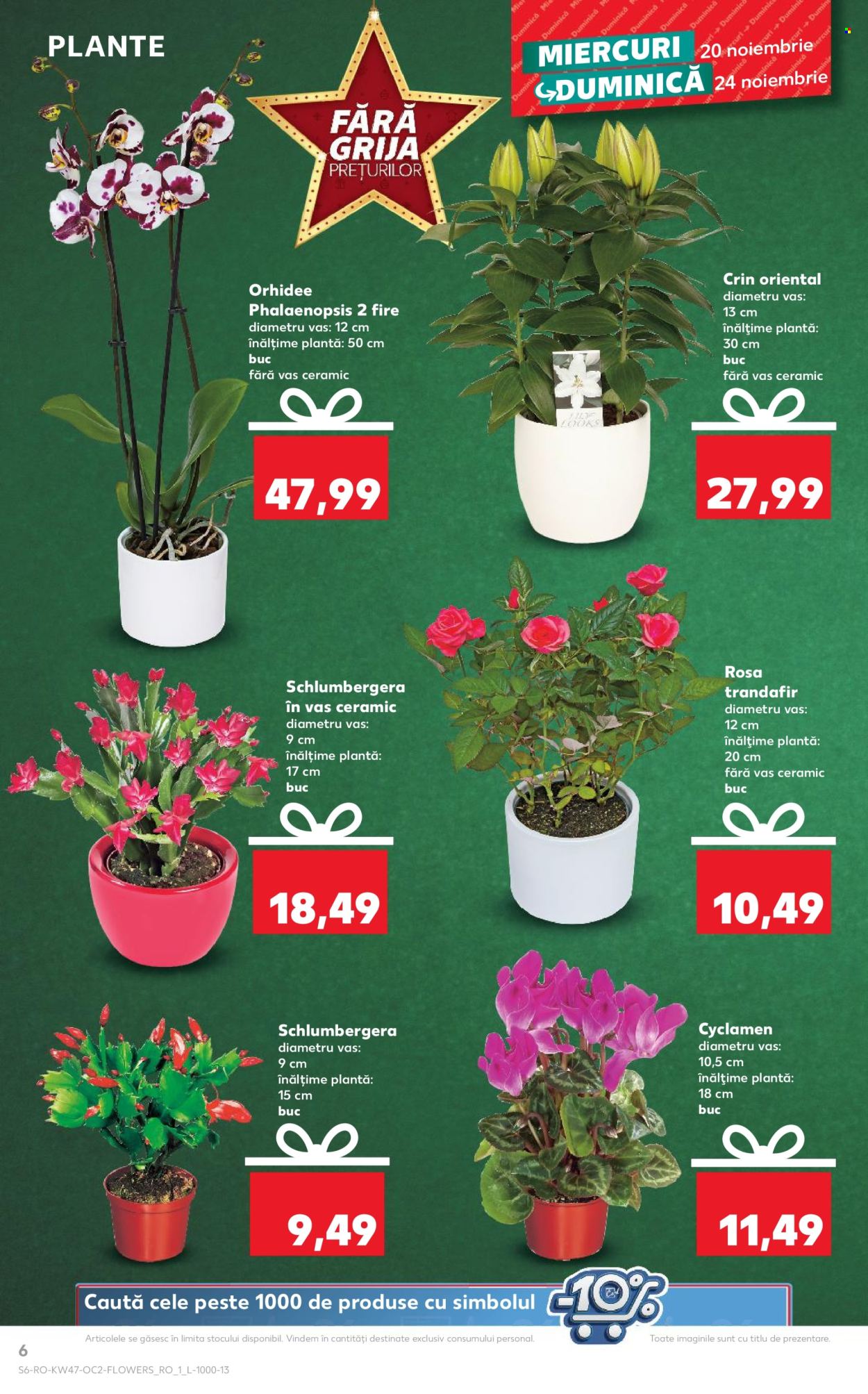 Catalog Kaufland - 20.11.2024 - 26.11.2024. Pagina 6
