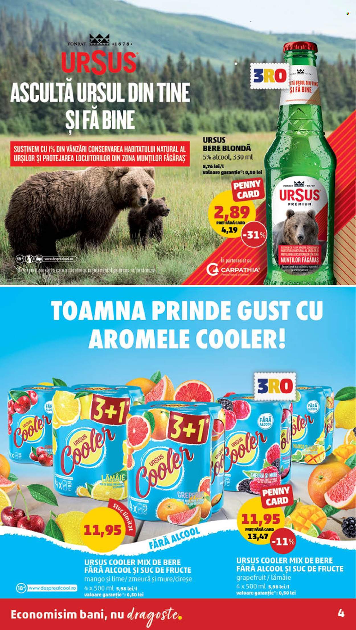 Catalog PENNY - 20.11.2024 - 26.11.2024. Pagina 4