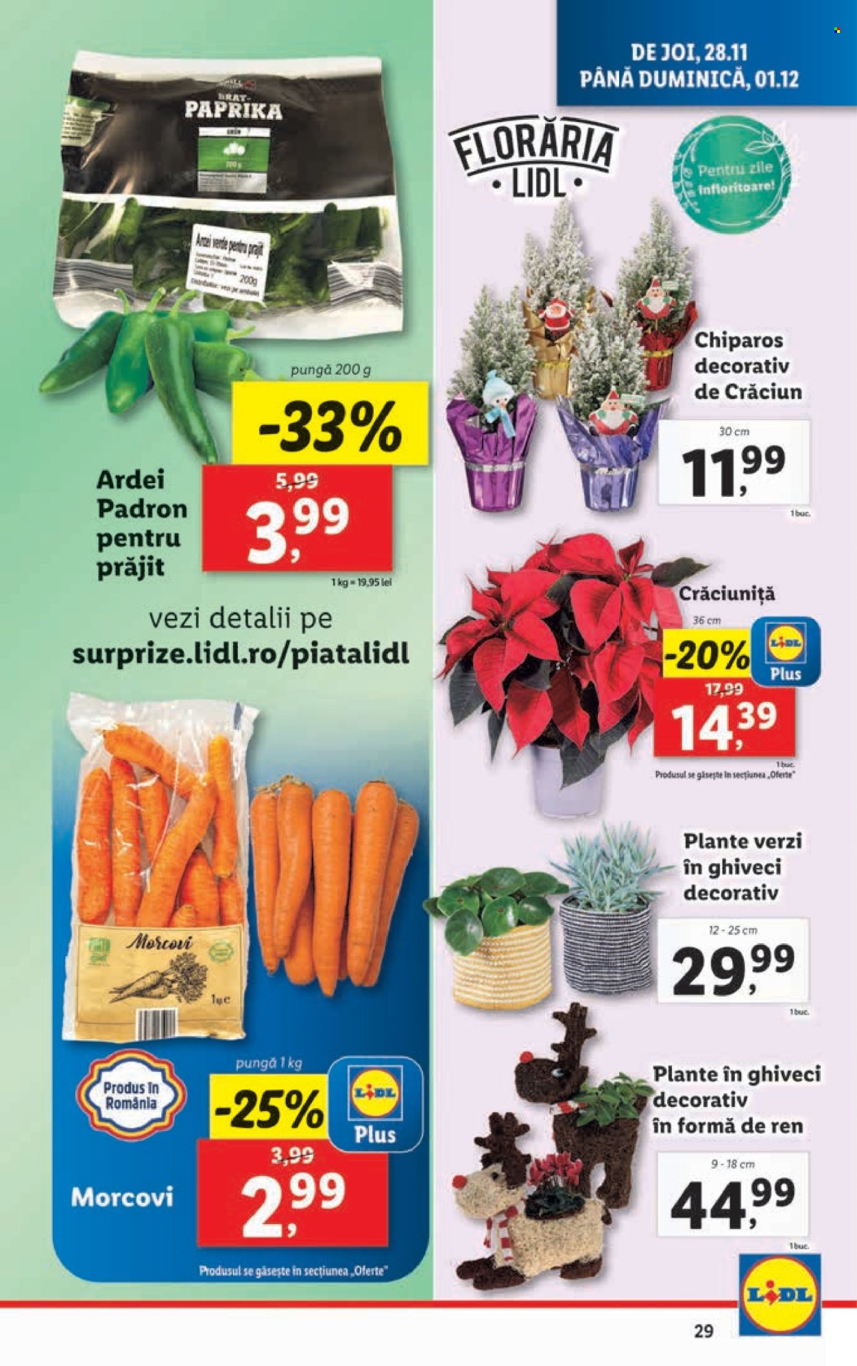 Catalog Lidl - 25.11.2024 - 01.12.2024. Pagina 29