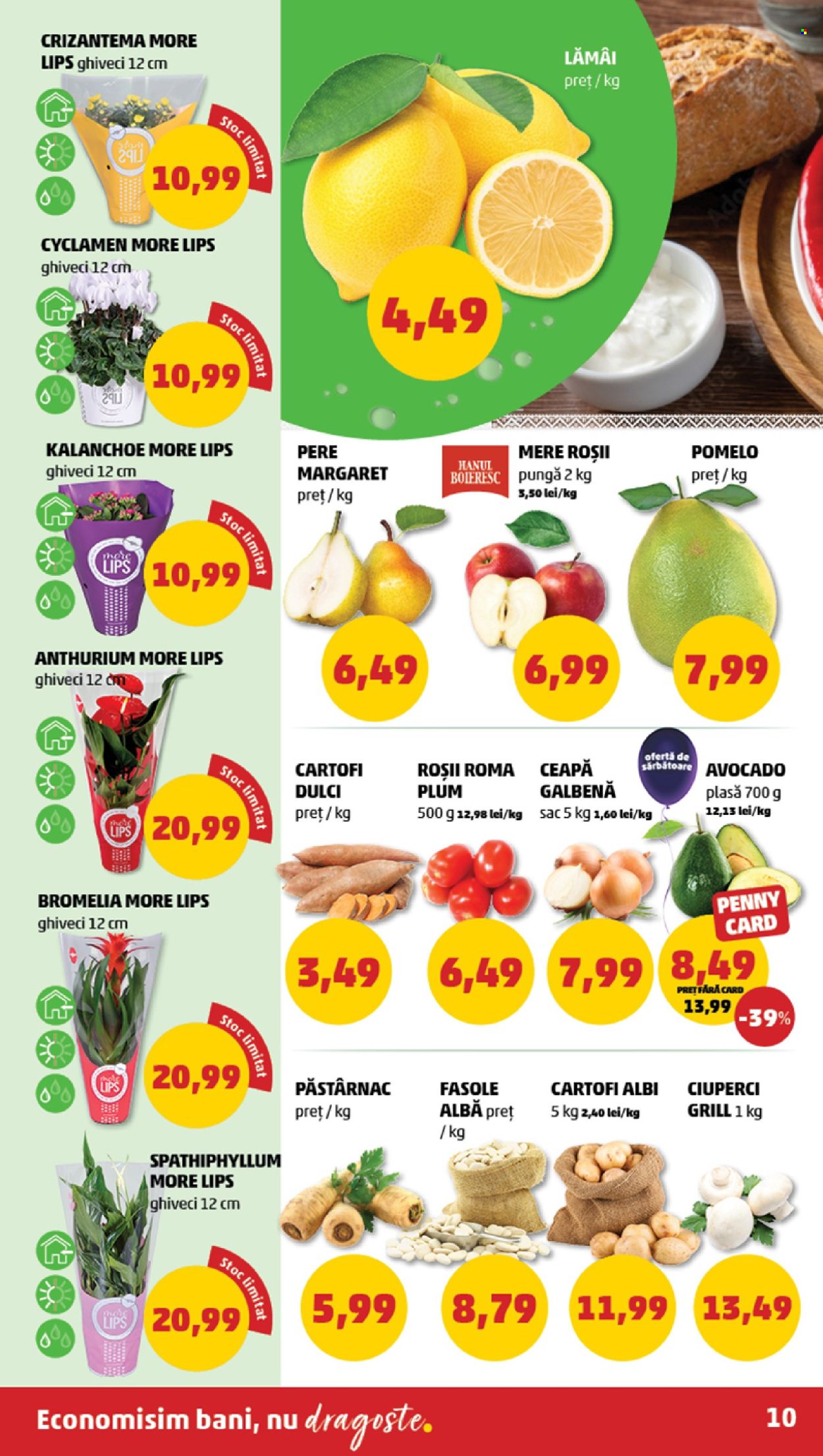Catalog PENNY - 27.11.2024 - 03.12.2024. Pagina 10