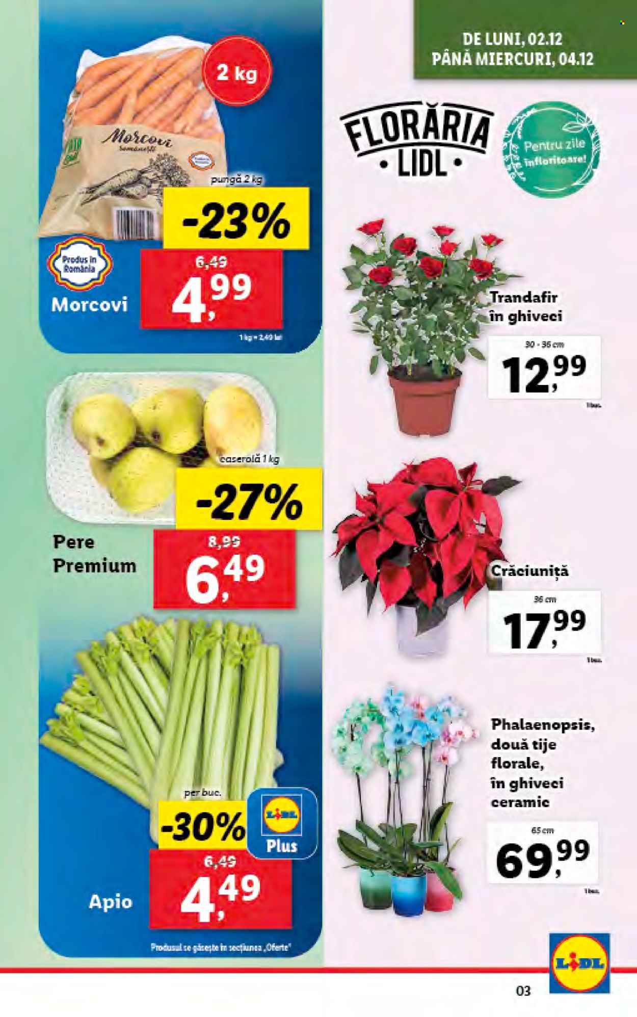 Catalog Lidl - 02.12.2024 - 08.12.2024. Pagina 3