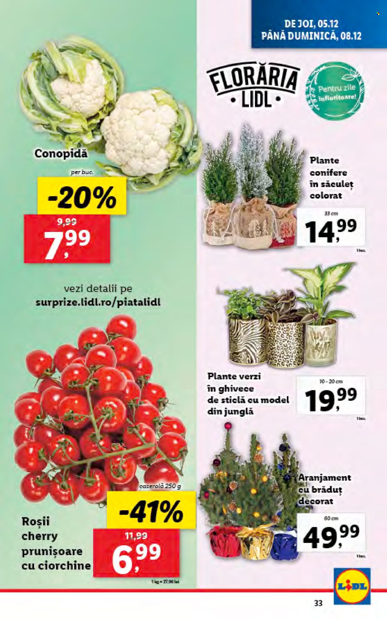 Catalog Lidl - 02.12.2024 - 08.12.2024. Pagina 33