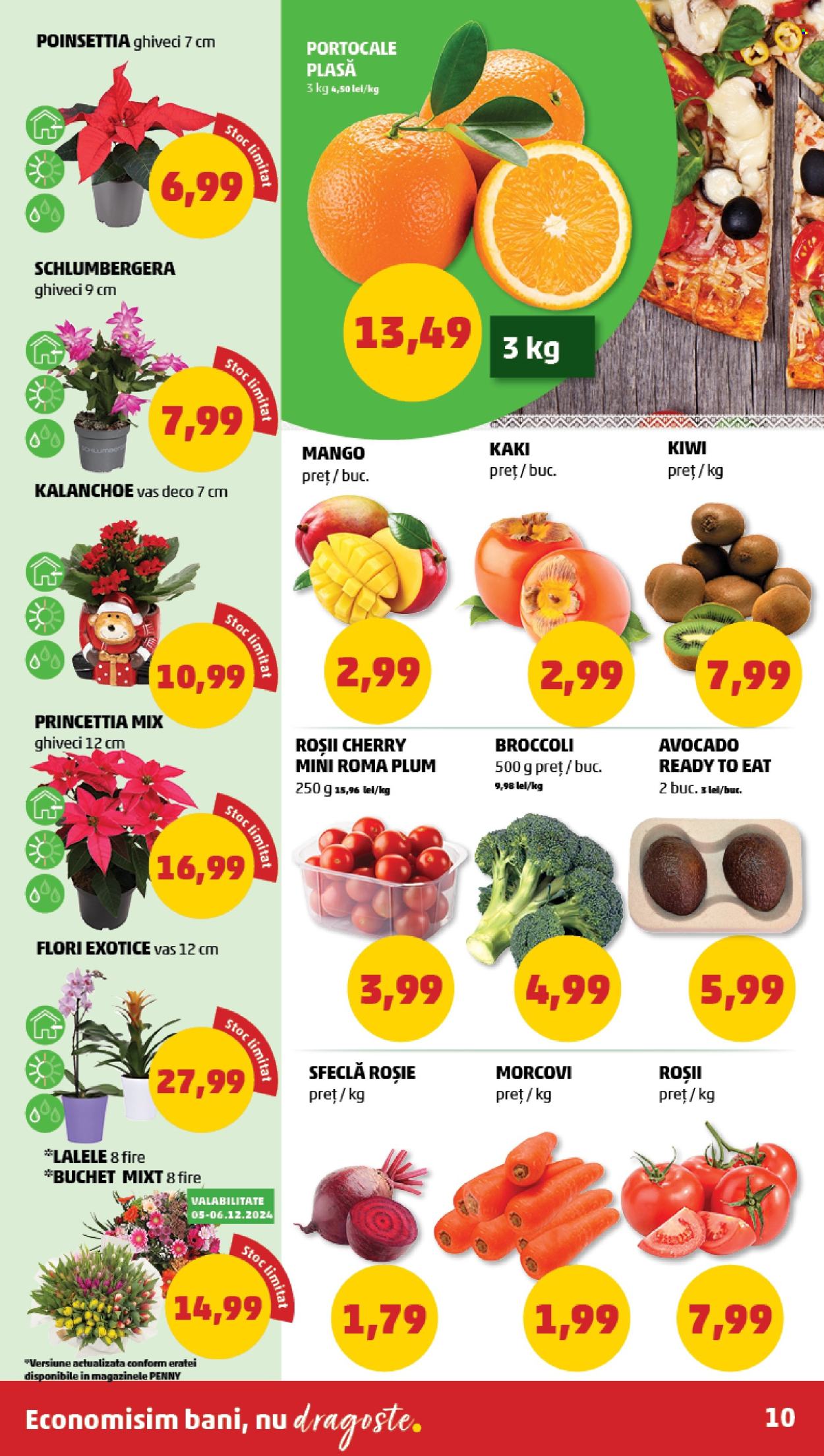 Catalog PENNY - 04.12.2024 - 10.12.2024. Pagina 10