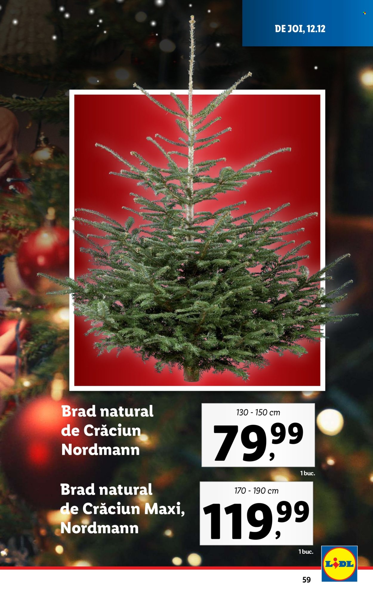 Catalog Lidl - 09.12.2024 - 15.12.2024. Pagina 59