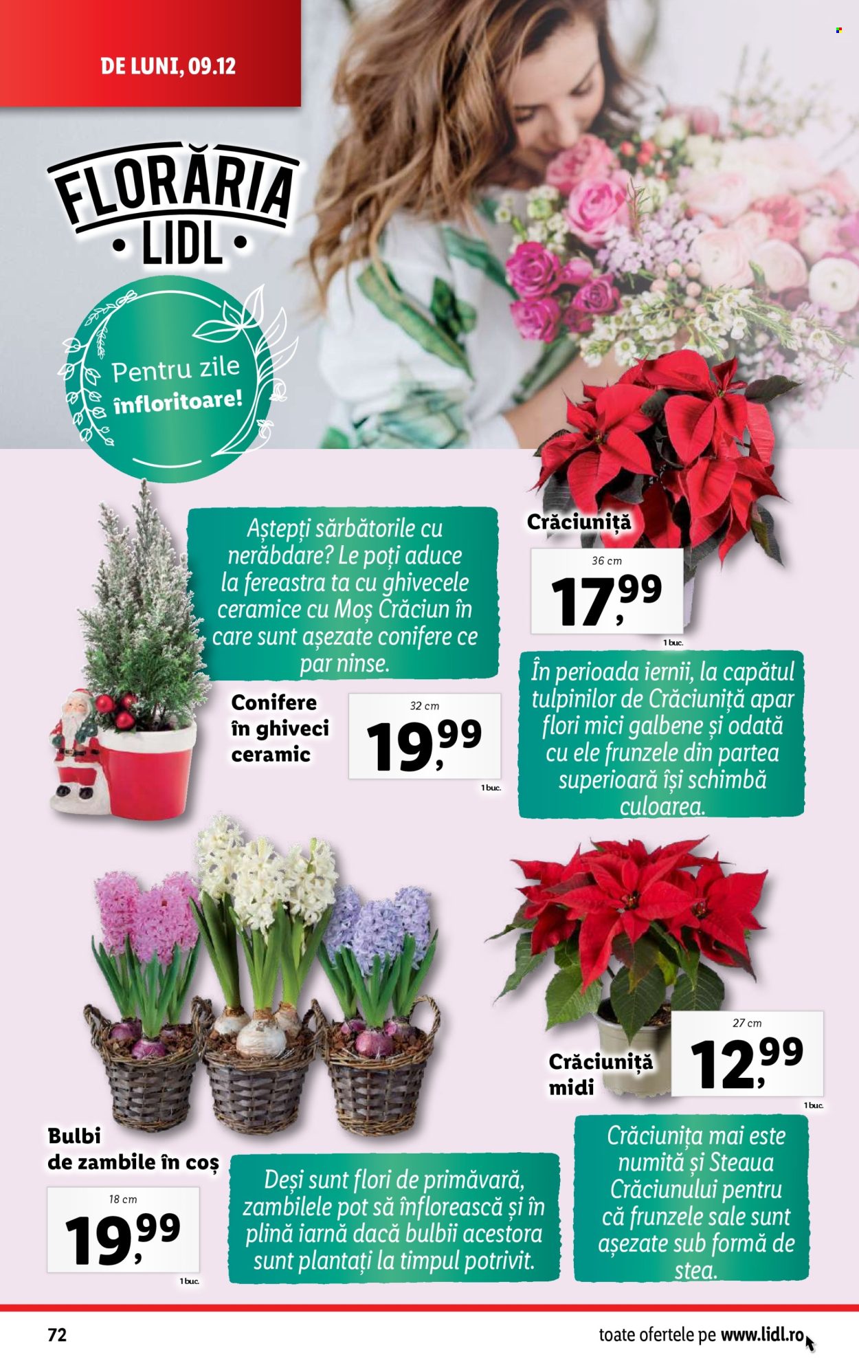 Catalog Lidl - 09.12.2024 - 15.12.2024. Pagina 72