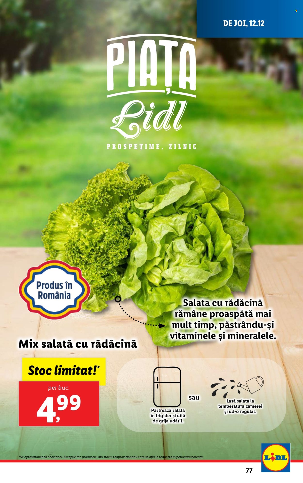 Catalog Lidl - 09.12.2024 - 15.12.2024. Pagina 77