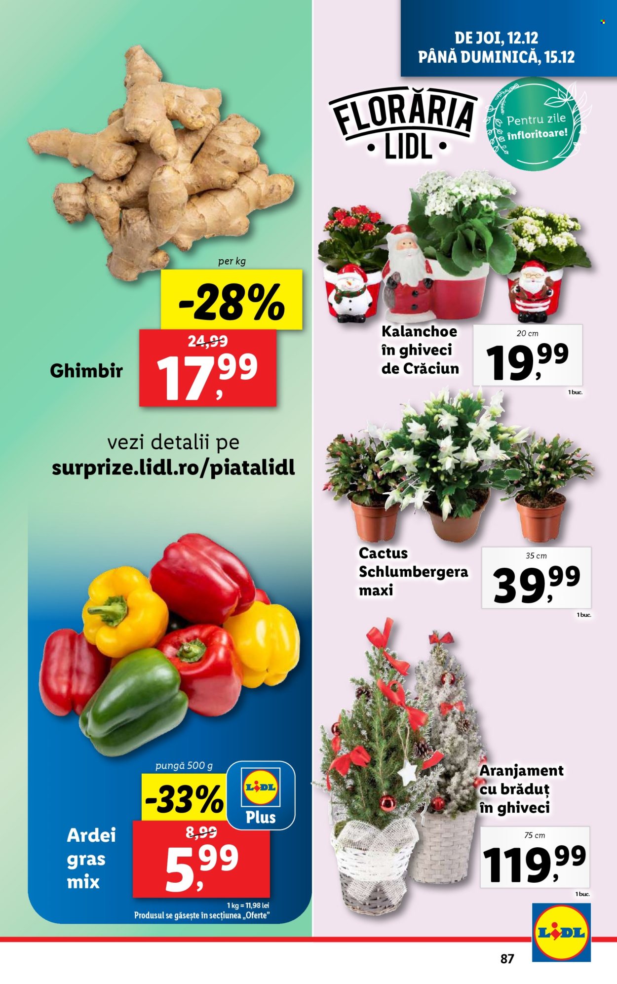 Catalog Lidl - 09.12.2024 - 15.12.2024. Pagina 87