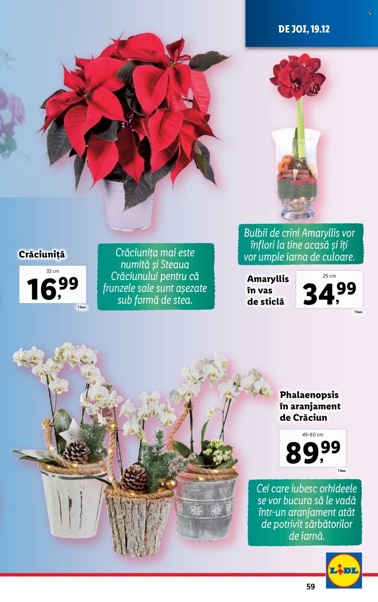 Catalog Lidl - 16.12.2024 - 24.12.2024. Pagina 59