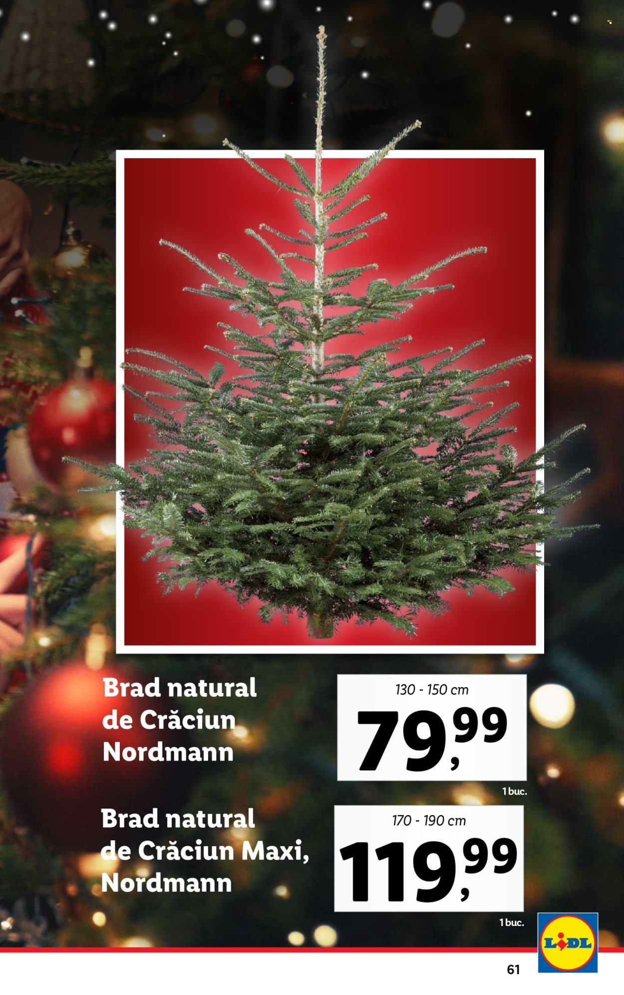 Catalog Lidl - 16.12.2024 - 24.12.2024. Pagina 61