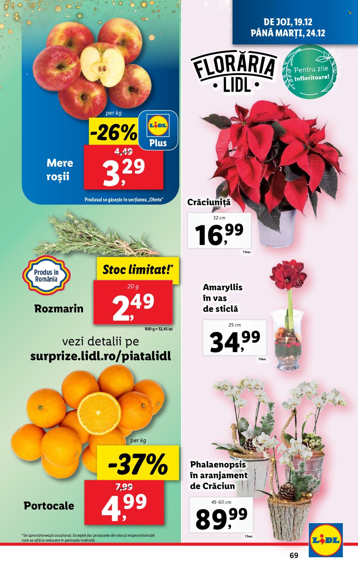 Catalog Lidl - 16.12.2024 - 24.12.2024. Pagina 69