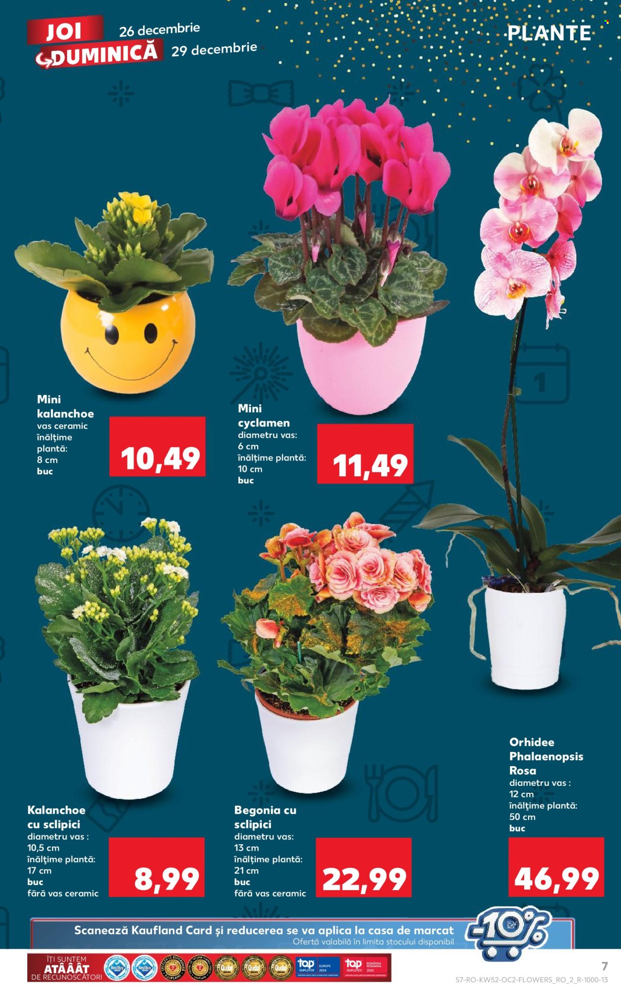 Catalog Kaufland - 26.12.2024 - 31.12.2024. Pagina 7