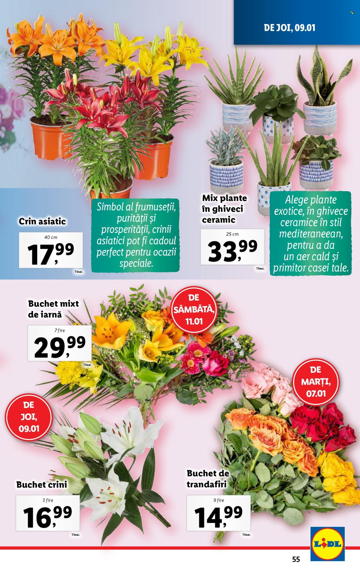 Catalog Lidl - 06.01.2025 - 12.01.2025. Pagina 55