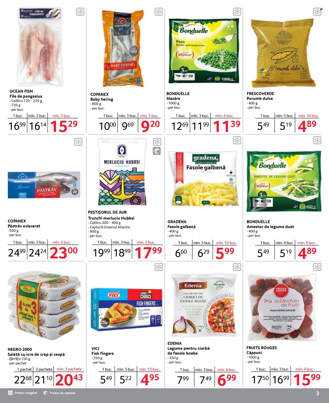 Catalog Selgros - 02.01.2025 - 31.01.2025. Pagina 3