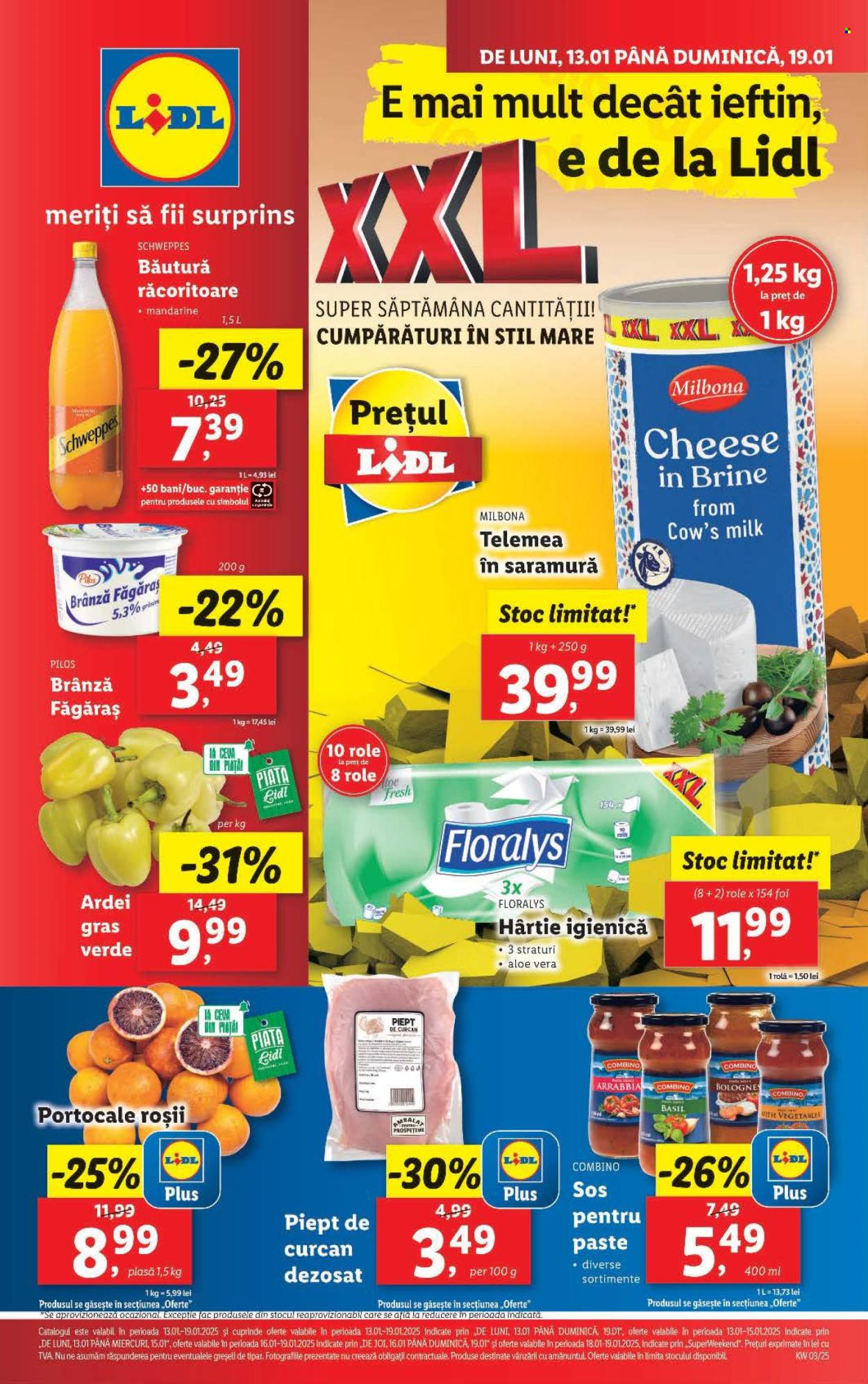 Catalog Lidl - 13.01.2025 - 19.01.2025. Pagina 1