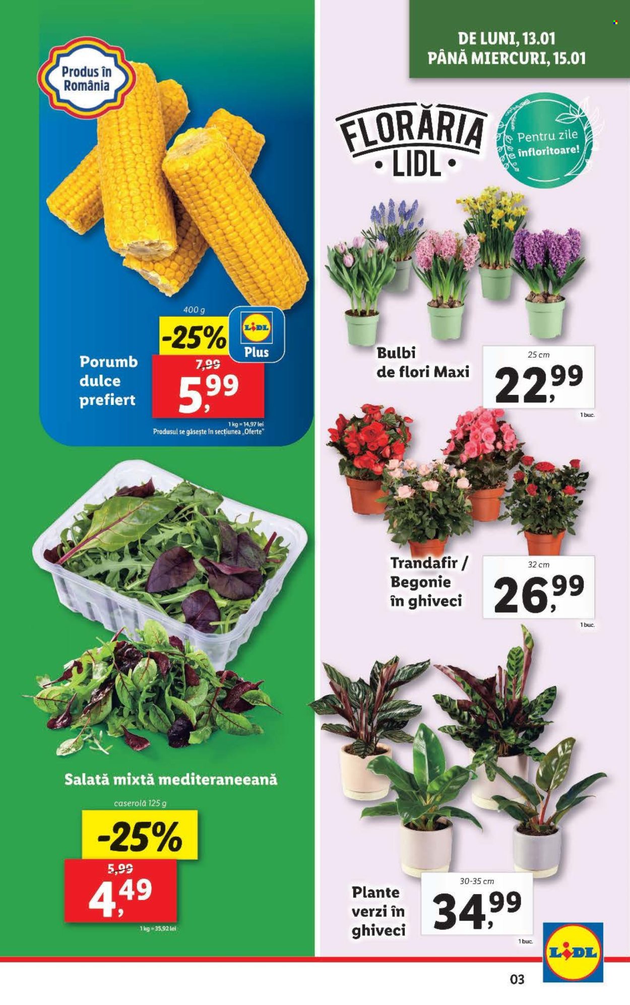 Catalog Lidl - 13.01.2025 - 19.01.2025. Pagina 3