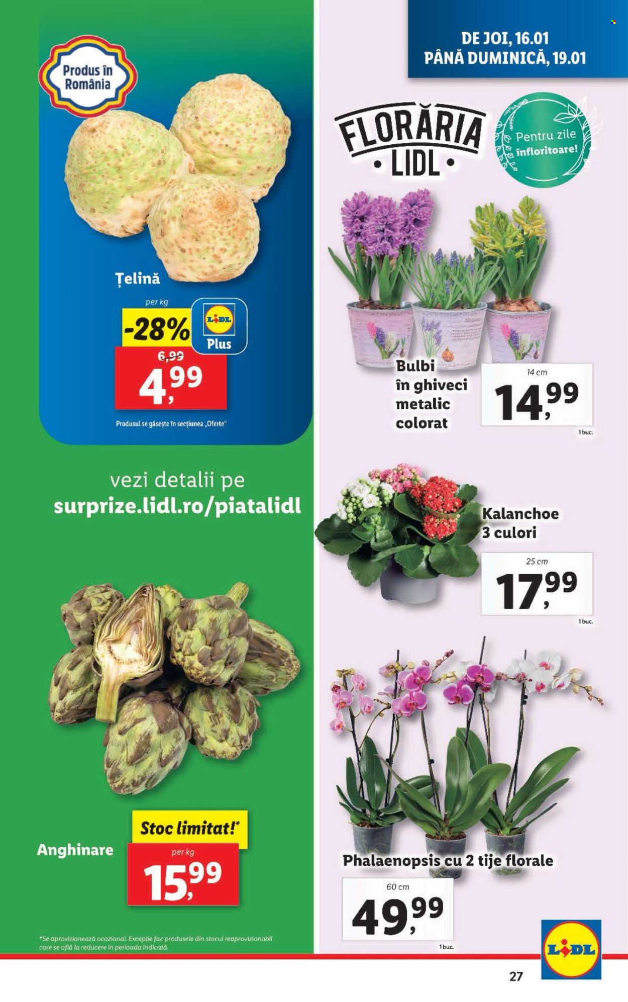 Catalog Lidl - 13.01.2025 - 19.01.2025. Pagina 27