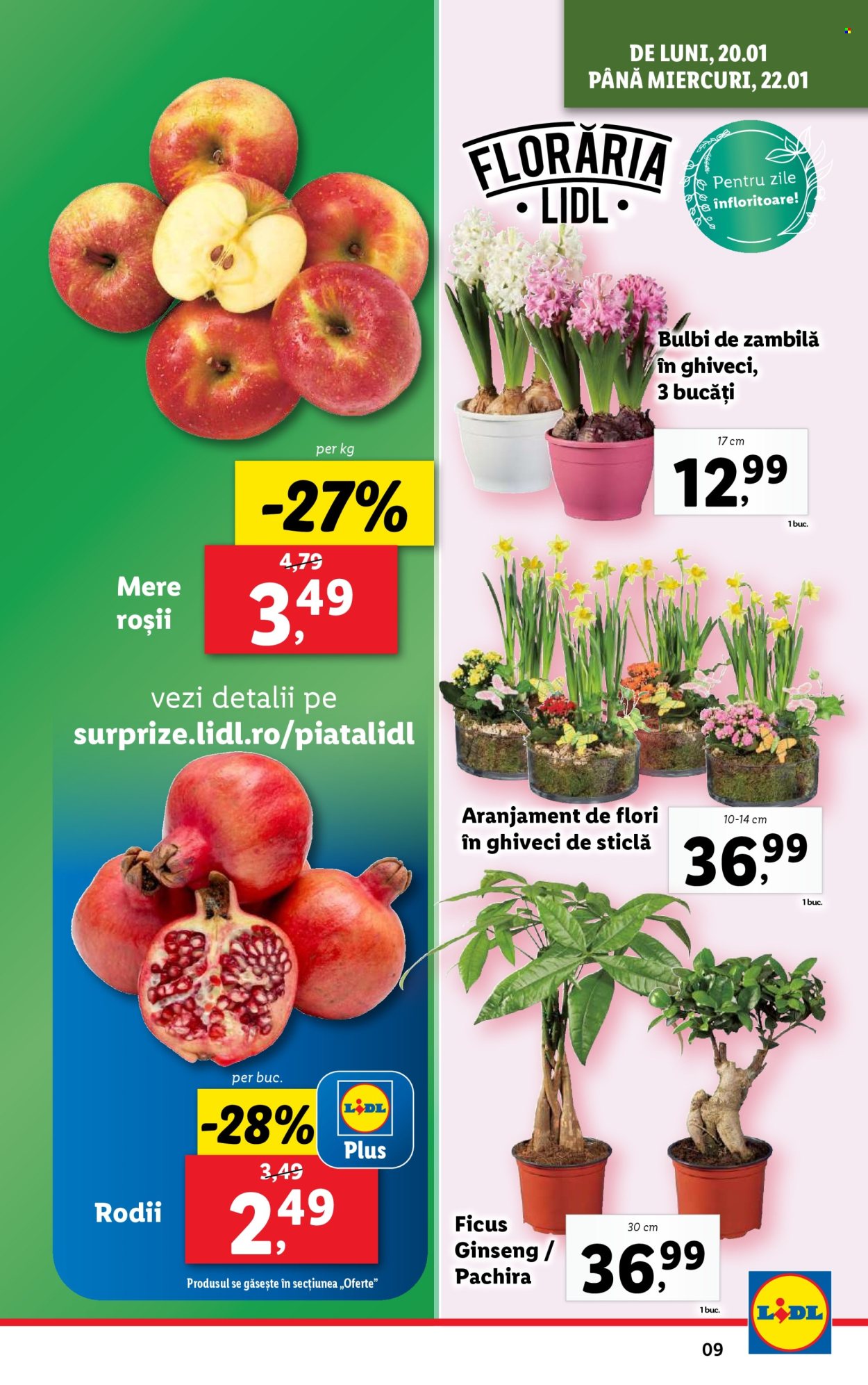 Catalog Lidl - 20.01.2025 - 26.01.2025. Pagina 9