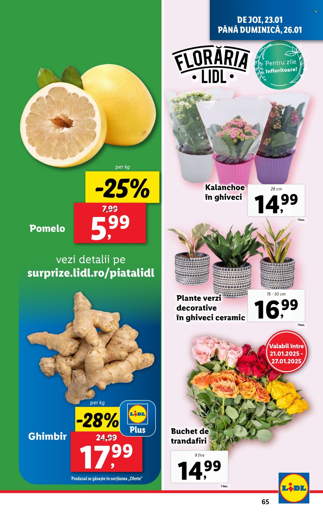 Catalog Lidl - 20.01.2025 - 26.01.2025. Pagina 65