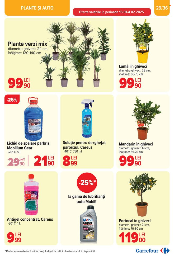 Catalog Carrefour - 15.01.2025 - 21.01.2025. Pagina 29