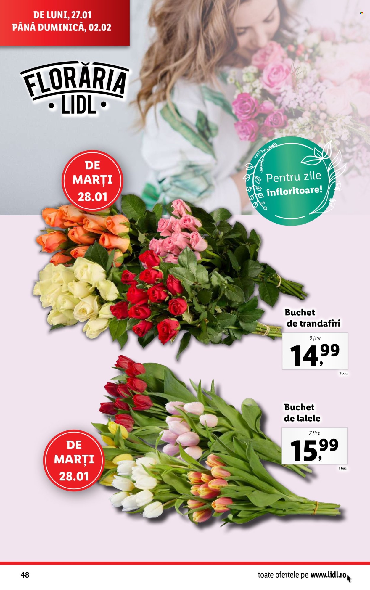 Catalog Lidl - 27.01.2025 - 02.02.2025. Pagina 48