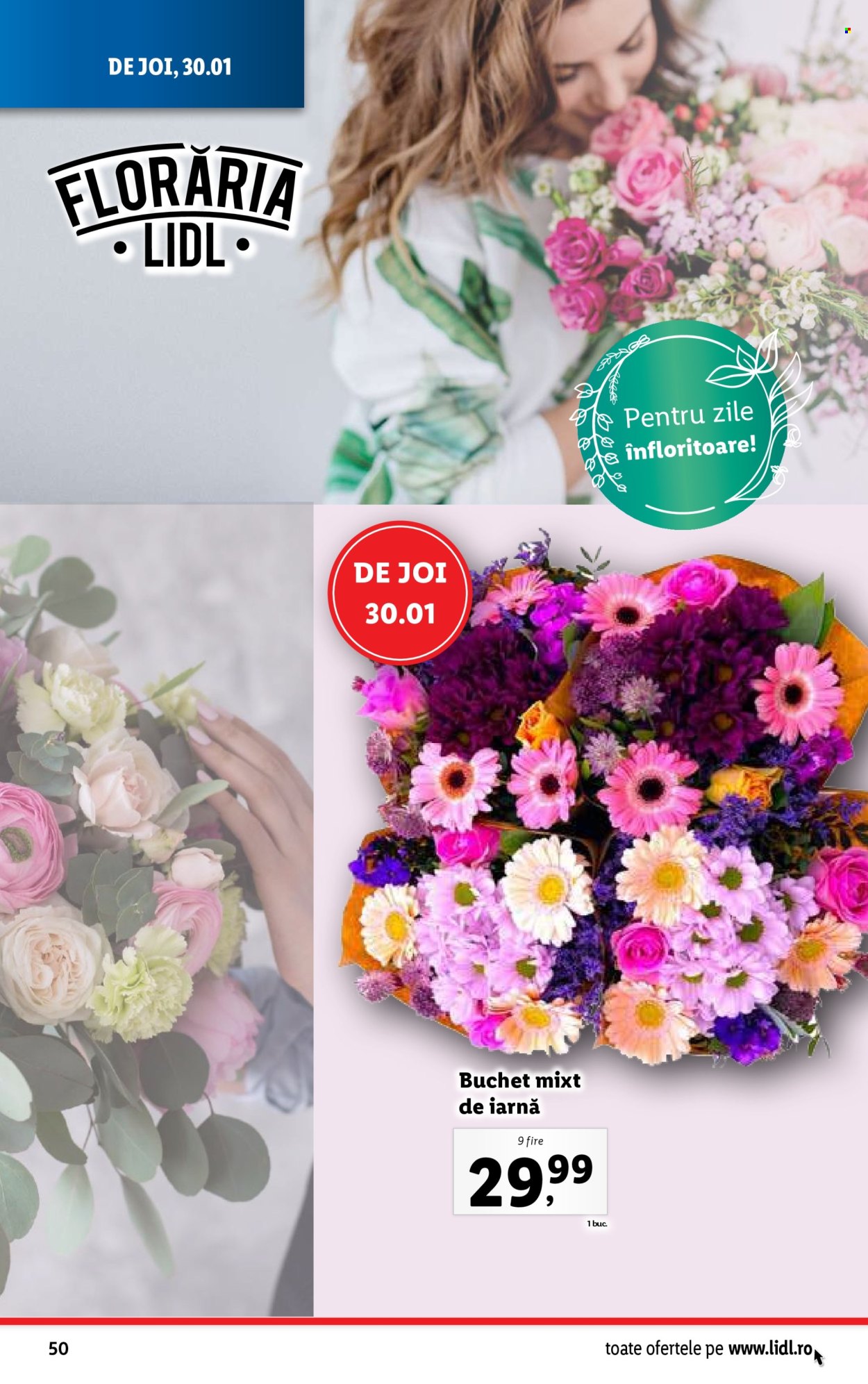Catalog Lidl - 27.01.2025 - 02.02.2025. Pagina 50