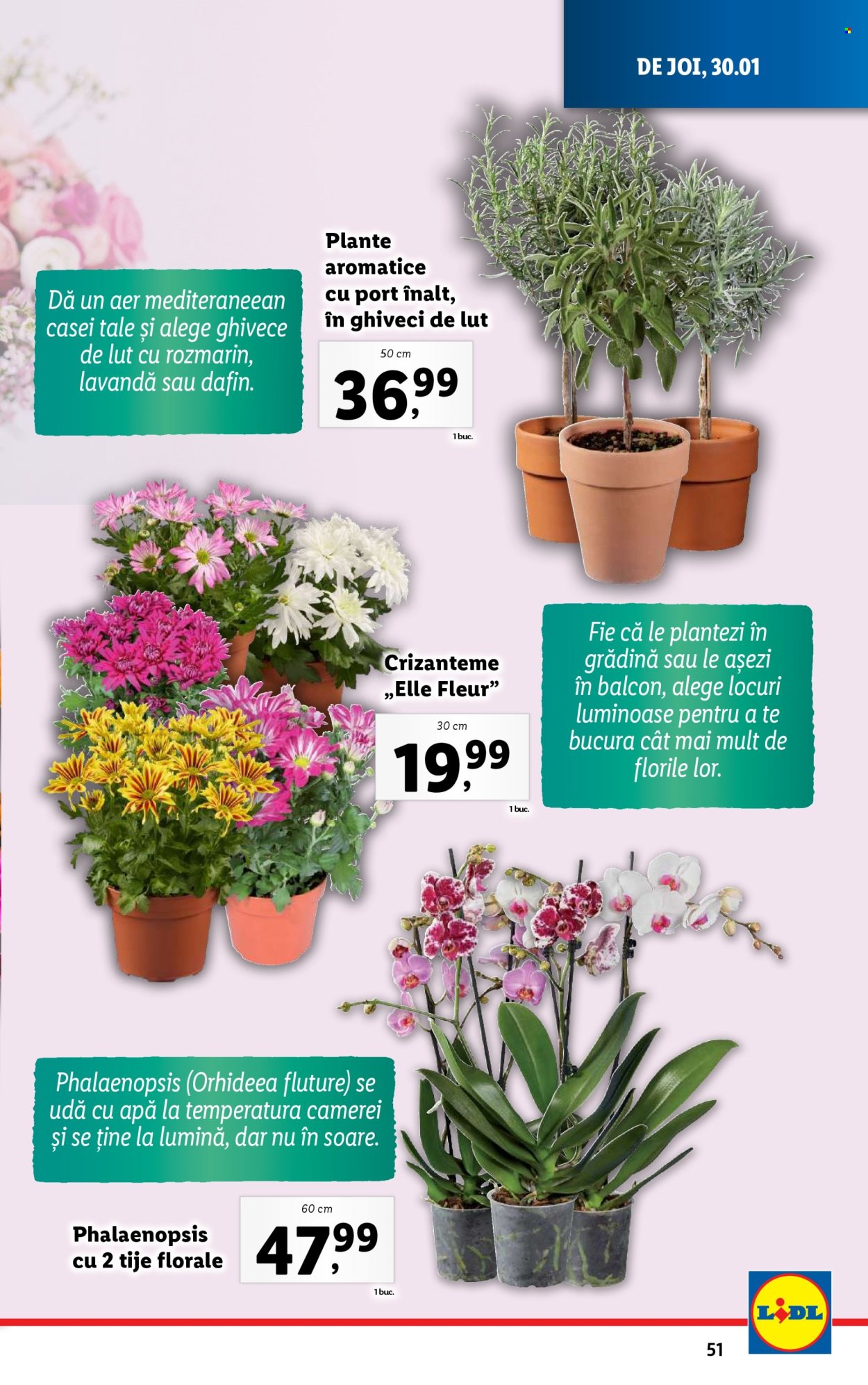 Catalog Lidl - 27.01.2025 - 02.02.2025. Pagina 51